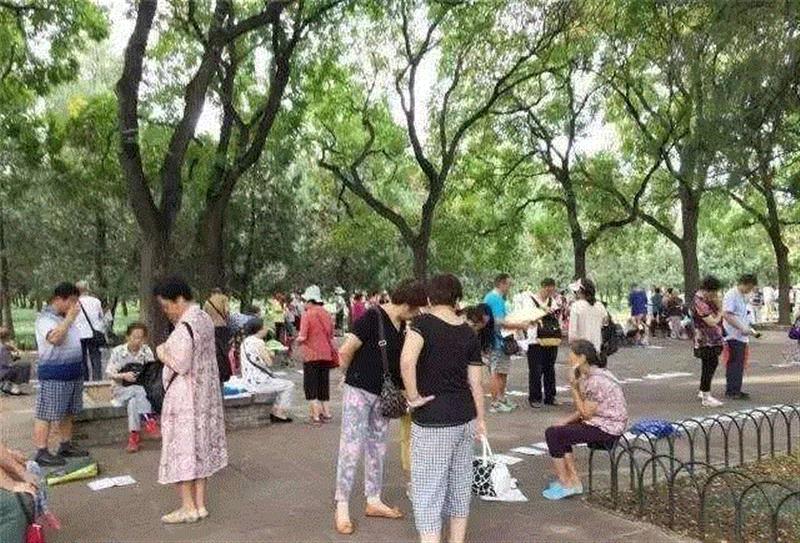 北京天坛公园相亲角,刚上大一的她竟被家长逼着去相亲！,大一,家长,婚姻,周一星,大学生,父亲,女儿,广州大剧院,伦理,剧本