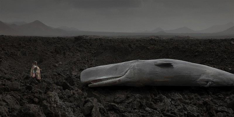 ▲地心游记#3 130x258cm 纸上涂料印花 2017,“我们是梦中之梦”——马特奥·巴西雷摄影作品,巴西,梦中,马特奥,超现实主义,copia,埃德加,爱伦,涂料,印花,意大利