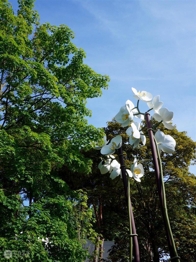 展览现场，《两朵兰花》（2015）于第56届威尼斯双年展，2015,伊萨·根泽肯（Isa Genzken）荣获2019年纳西尔奖（Nasher Prize）,Isa,Genzken,伊萨·根泽肯,纳西尔,Prize,根泽,卓纳,雕塑,伊萨,博物馆