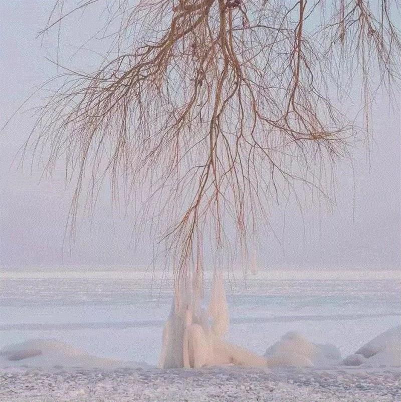 摄影丨色彩治愈,她镜头下的街景太美了,街景,玛丽埃塔,瓦尔加,故乡,匈牙利,希欧福克,湖泊,模样,上方,右上