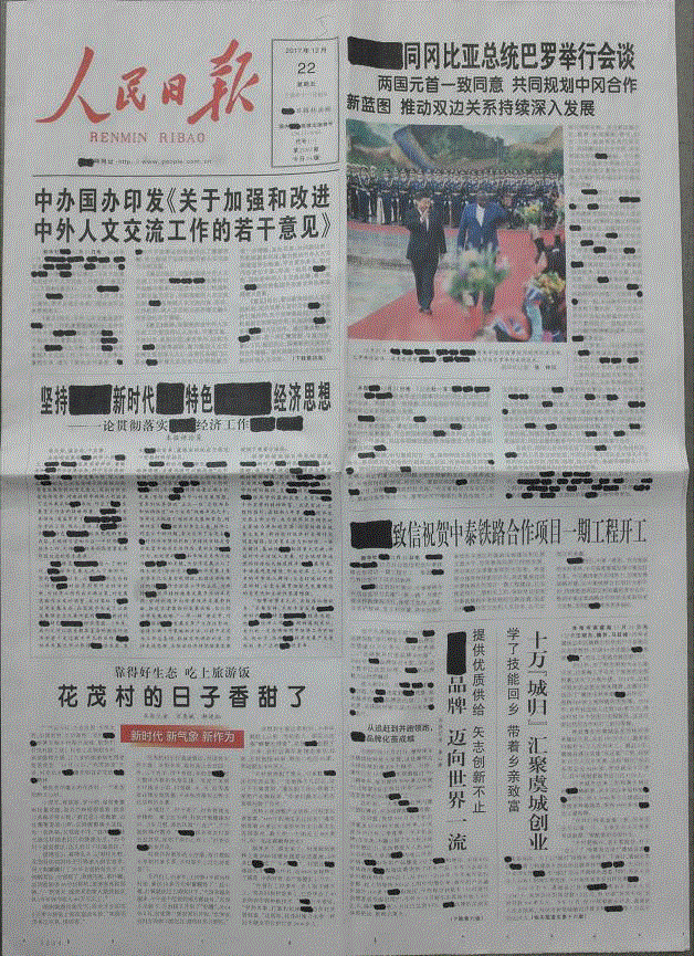 宋兮，人民日报，报纸、中性笔，2017，59.4×42.1cm，图片由博而励画廊提供,【BLG LAB】“海面之下是火山” 艺术家与作品介绍,火山,海面,LAB,影像,家书,宋兮,唐潮,李昶,朱湘,贺勋