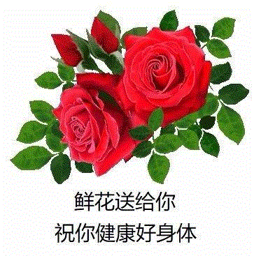 花卉饮食极简史:真香!,花卉,饮食,极简史,菊花,桂花酒,美食,朋友圈,花朵,点心,饮料