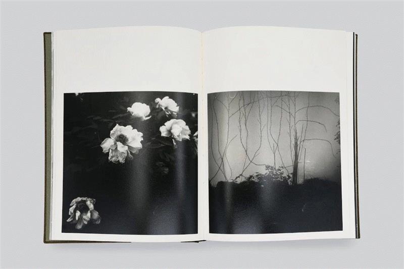 鸟头小组,《千秋光》,摄影书单 | 鸟头小组:拍摄本身是自己「向外」的力量,小组,书单,新村,三影堂,尽头,大陆,记忆,相机,千秋,瞬间