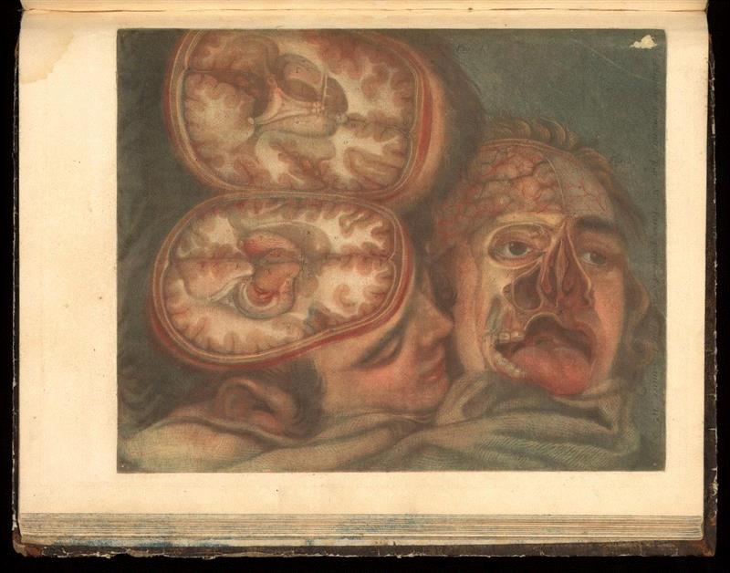 戈蒂尔经常会让他的人物摆出感性而非传统的姿态。图源：wellcome collection,人体解剖的印刷简史,人体,插图,戈蒂尔,医学,图源,外科,解剖学,特纳,美柔汀,格思里