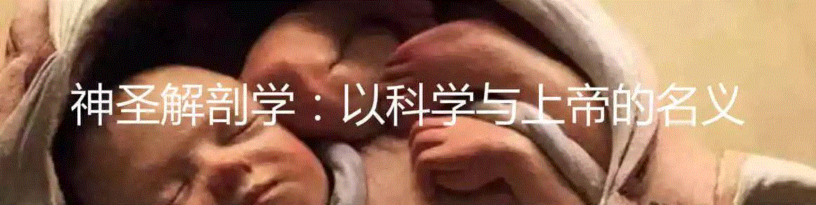 人体解剖的印刷简史,人体,插图,戈蒂尔,医学,图源,外科,解剖学,特纳,美柔汀,格思里