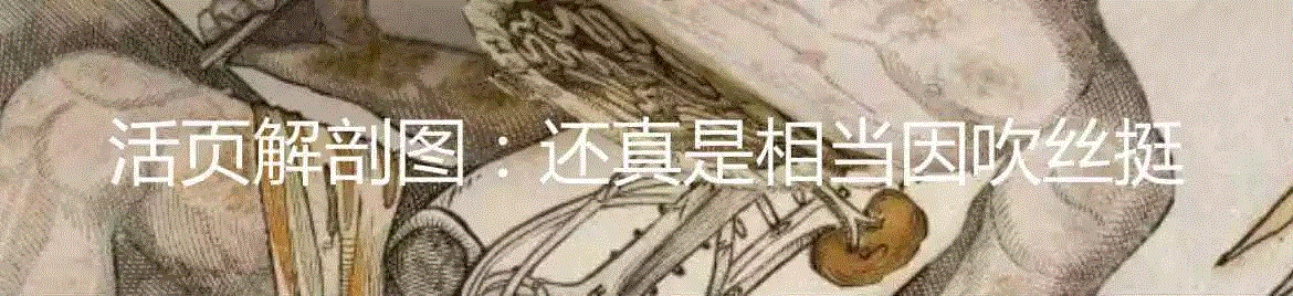 人体解剖的印刷简史,人体,插图,戈蒂尔,医学,图源,外科,解剖学,特纳,美柔汀,格思里