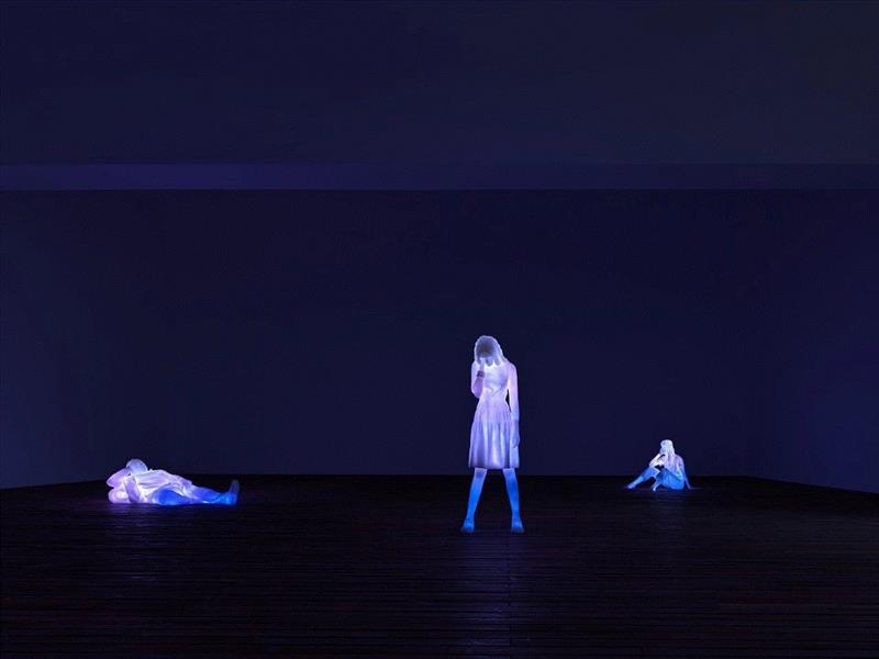 Installation shot of 