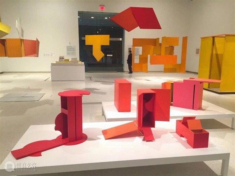 Installation view of Hélio Oiticica: To Organize D