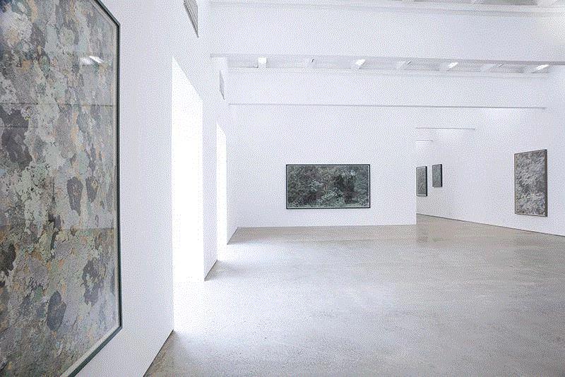 现场 | 林中漫步--史国威个展,史国威,林中,国威,魔金石空间,外观,树林,漫步史,凯伦,史密斯,这些年