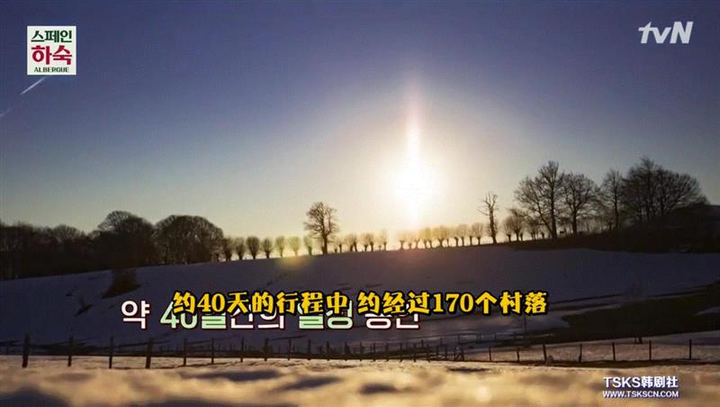 豆瓣9.5，这部新开播的神仙综艺，想抄都有点难,综艺,豆瓣,神仙,旅舍,西班牙,韩国,圣地亚哥,车胜元,裴正南,朝圣者