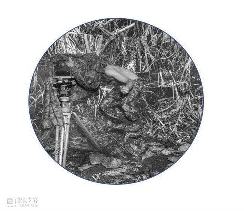 Kai Wasikowski 是一位在澳大利亚悉尼生活和工作的多学科艺术家。Kai的艺术实践与即将发