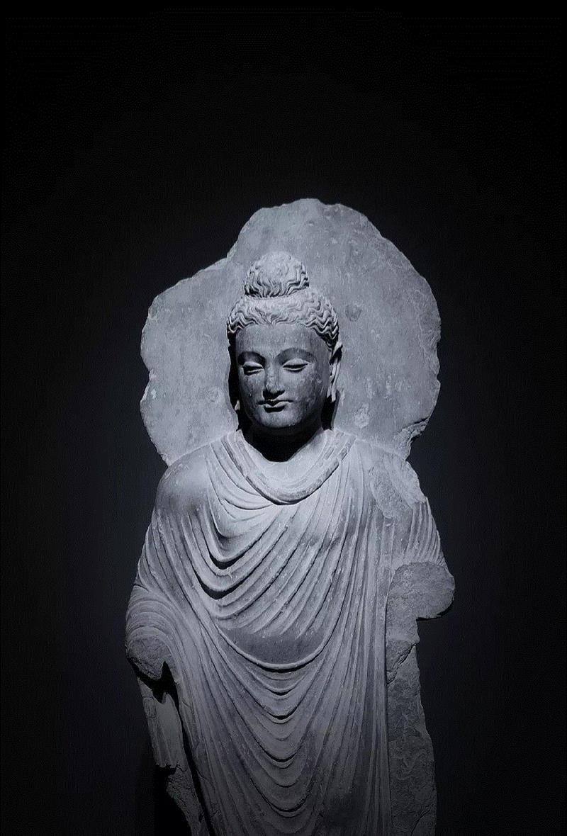 【全国其他】3月份有什么好看的展览?(第4期),文物,契约,版画,书画,陶瓷,华工,音乐,吉林省,文化展,山东博物馆
