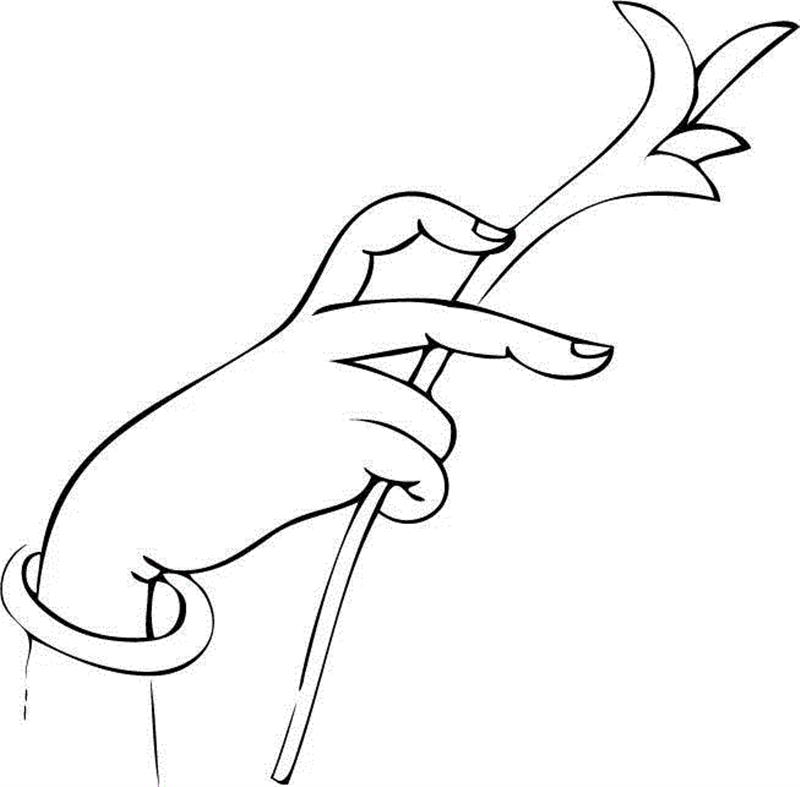 白描佛手，曼妙多姿,白描,佛手,上方,一只手,涵义,情态,手势,手姿,器物,爱好者们