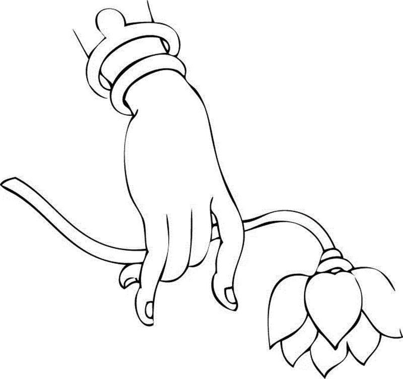 白描佛手，曼妙多姿,白描,佛手,上方,一只手,涵义,情态,手势,手姿,器物,爱好者们