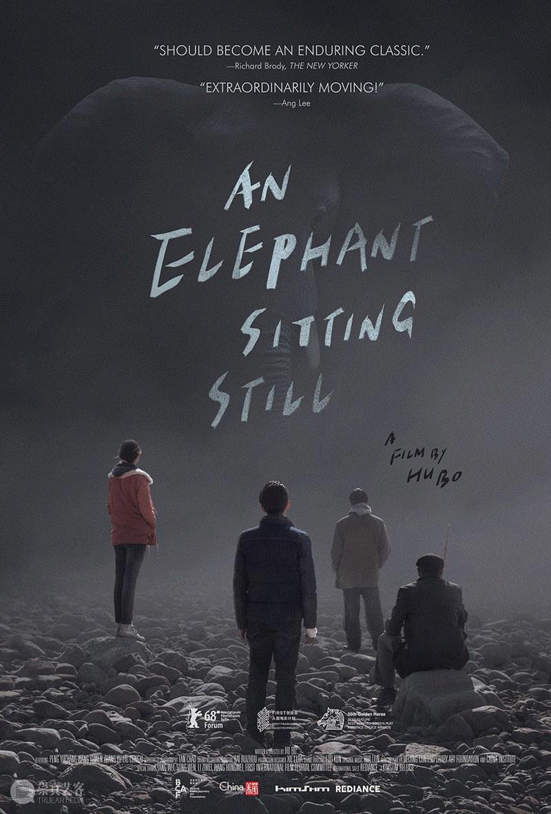 中国艺术电影基金 | “大象席地而坐” 美国发行及首映,电影,大象,基金,首映,胡波,导演,韦布,演员,章宇,处女作