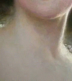 菲利普·杰奎琳（Philippe Cinquini）：《梅尼耶夫人肖像》作品评述