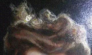 菲利普·杰奎琳（Philippe Cinquini）：《梅尼耶夫人肖像》作品评述