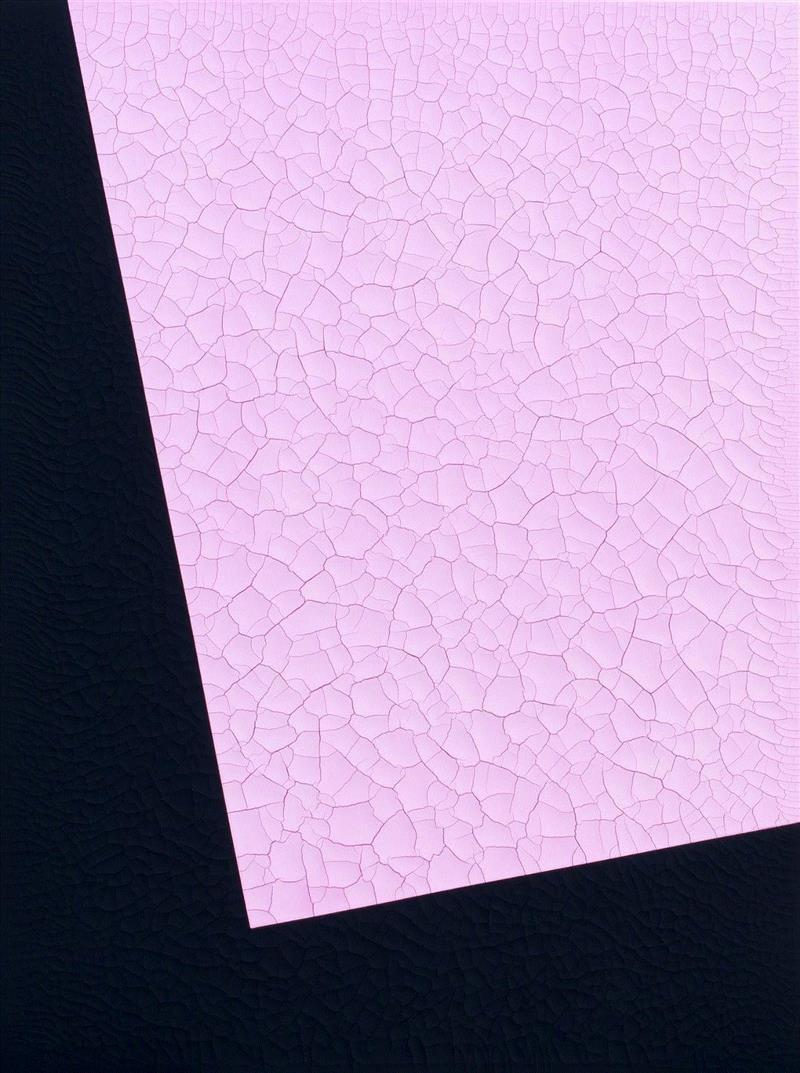 波动表象-玫瑰 Displaced-Facade-Rose,索卡·台南 | 【永恒 之间】王永衢个展 3月2日即将开幕,索卡,台南,王永衢,颜料,乳胶漆,木板,裂痕,wood,广告,裂纹