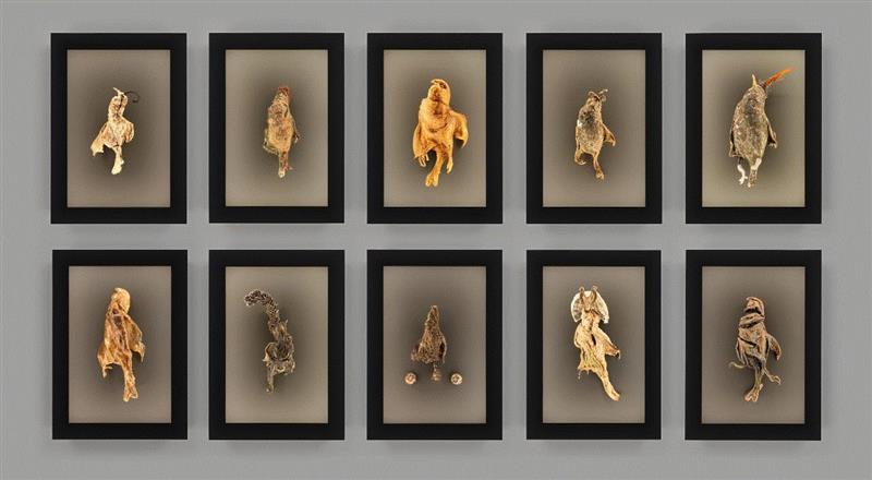 ▲&nbsp;罗伯特·库奇，《片状以太》（Ether en Flocons），2016–2018，?