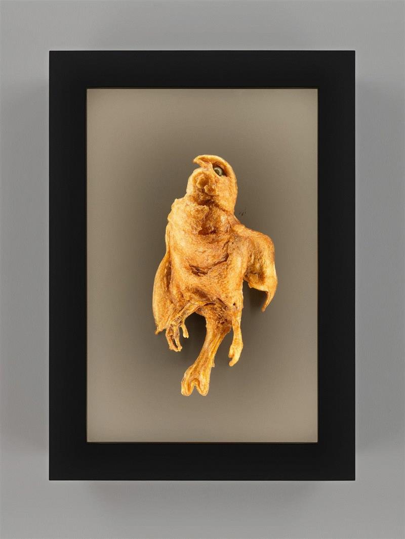 纽约ADAA艺博会：豪瑟沃斯 | 展位B3,豪瑟,展位,纽约ADAA艺博会,罗伯特,雕塑,窑炉,Sofia,意大利,展会,伊兹拉岛