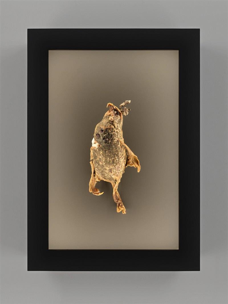 纽约ADAA艺博会：豪瑟沃斯 | 展位B3,豪瑟,展位,纽约ADAA艺博会,罗伯特,雕塑,窑炉,Sofia,意大利,展会,伊兹拉岛