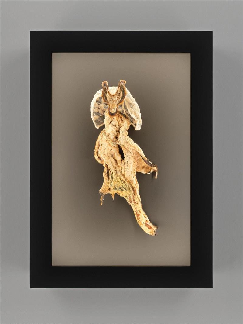 纽约ADAA艺博会：豪瑟沃斯 | 展位B3,豪瑟,展位,纽约ADAA艺博会,罗伯特,雕塑,窑炉,Sofia,意大利,展会,伊兹拉岛