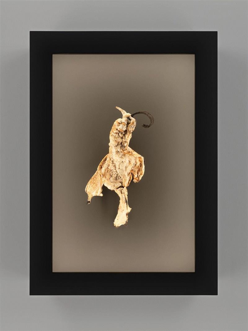 纽约ADAA艺博会：豪瑟沃斯 | 展位B3,豪瑟,展位,纽约ADAA艺博会,罗伯特,雕塑,窑炉,Sofia,意大利,展会,伊兹拉岛