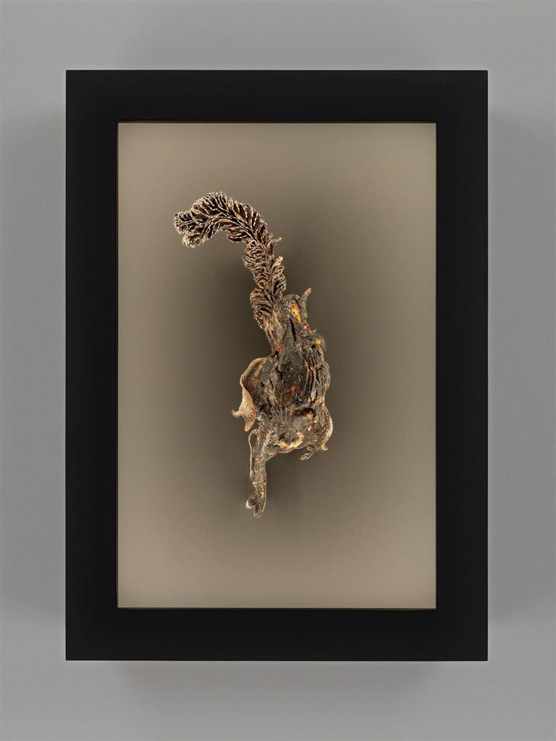 ▲&nbsp;罗伯特·库奇，《片状以太》（局部）（Ether en Flocons），2016–20