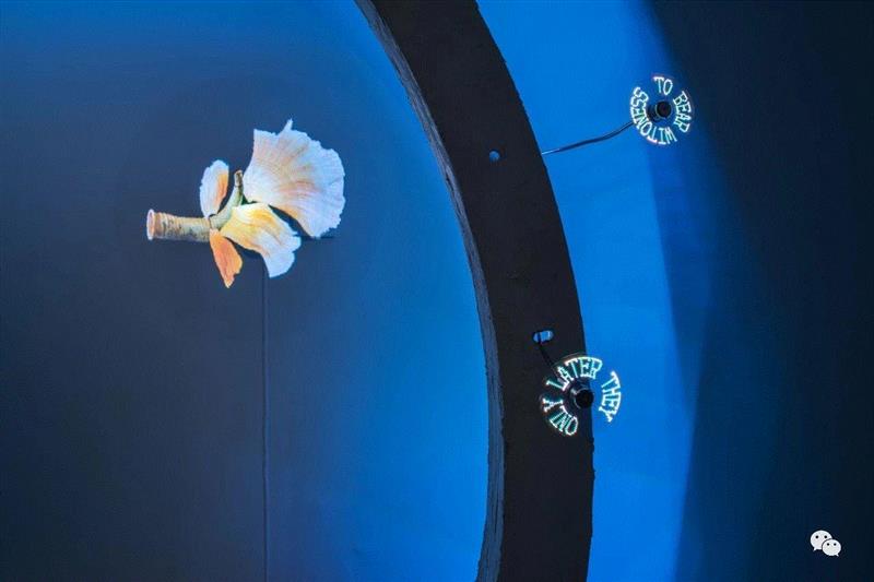 【艺术家】回顾丨覃小诗与陈思颖参加Savvy Contemporary(柏林)展览:“黑暗生态”,Contemporary,生态,柏林,陈思颖,丨覃小诗,塞壬,Plains,地点,迪奥,覃小诗