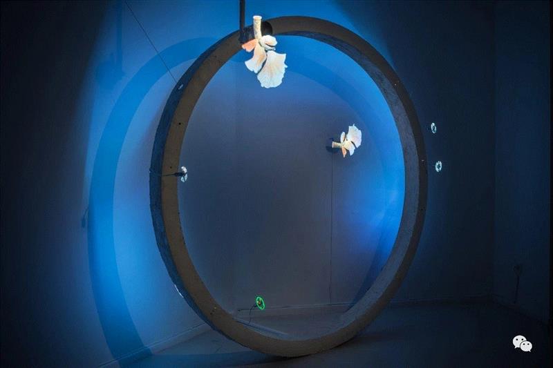 【艺术家】回顾丨覃小诗与陈思颖参加Savvy Contemporary(柏林)展览:“黑暗生态”,Contemporary,生态,柏林,陈思颖,丨覃小诗,塞壬,Plains,地点,迪奥,覃小诗