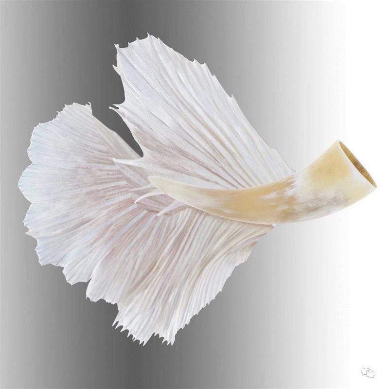 【艺术家】回顾丨覃小诗与陈思颖参加Savvy Contemporary(柏林)展览:“黑暗生态”,Contemporary,生态,柏林,陈思颖,丨覃小诗,塞壬,Plains,地点,迪奥,覃小诗