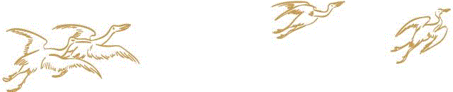 2019「艺术课堂」春日开启 | 系列讲座“管弦中国”,管弦,课堂,音乐,民族,管弦乐,丝弦,乐东,上海音乐学院,乐团,上海大剧院