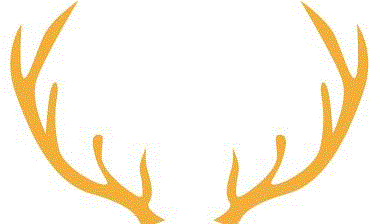 活动招募丨女神节特别活动：莫奈灵感创作坊 漂浮瓶,莫奈,丨女神节,女性,艺术节,广州大剧院,睡莲,艺生活,臻艺荟,创艺,名额