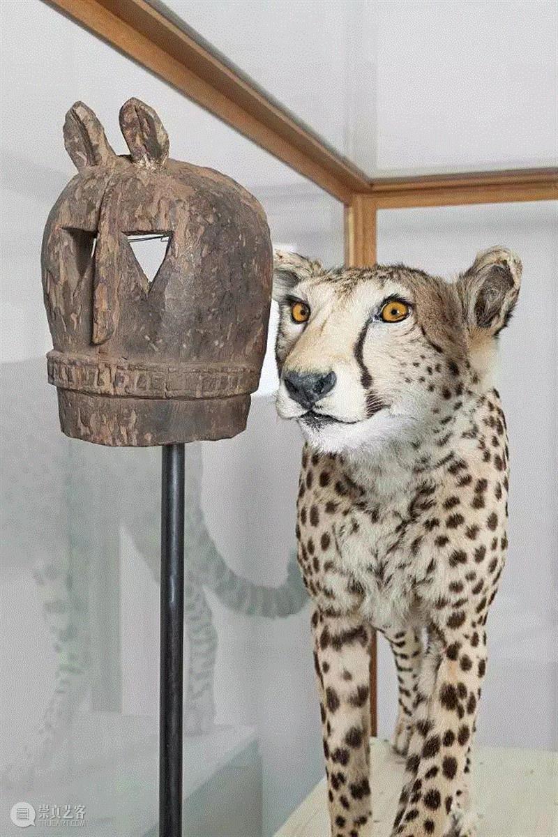 伦敦海沃德美术馆，2019年2月13日—5月6日,“修复也是一种伤害”：卡德·阿提亚(Kader Attia) 伦敦海沃德美术馆个展“The Museum of Emotion”,阿提亚,卡德,伦敦,海沃德美术馆,Attia,香港,首尔,伦敦海沃德美术馆,影像,面具