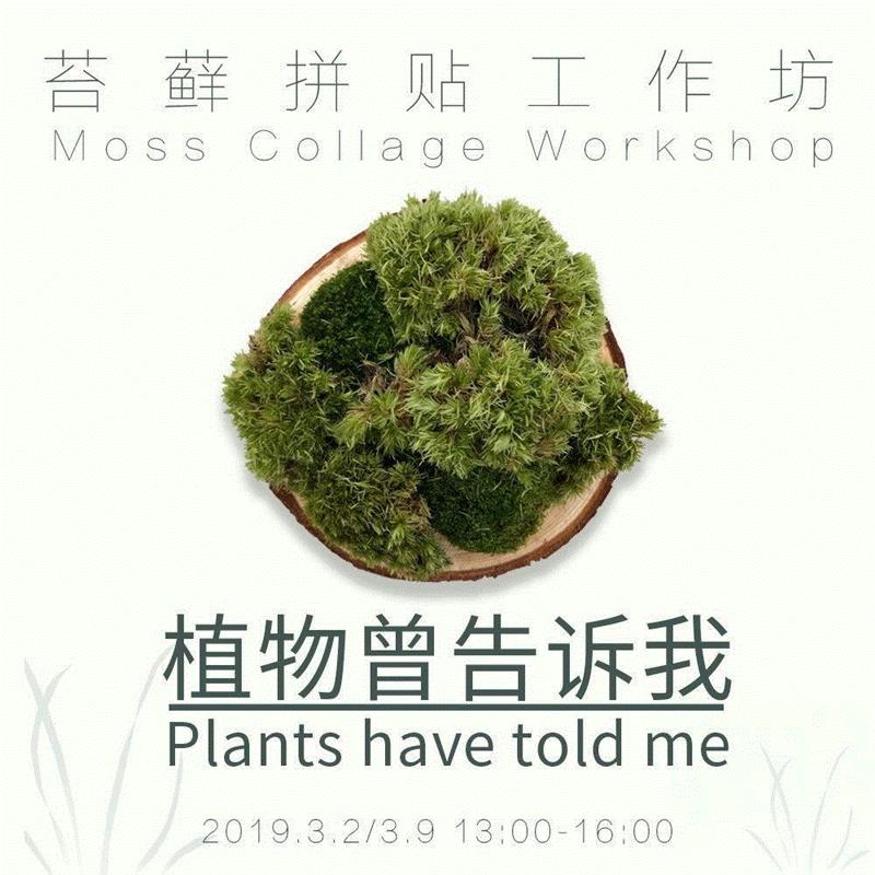 insideyuz | 植物曾告诉我——苔藓拼贴工作坊,植物,苔藓,insideyuz,工作坊,倒影,谢素梅,圆木,地点,余德耀美术馆玻璃厅,未成年人