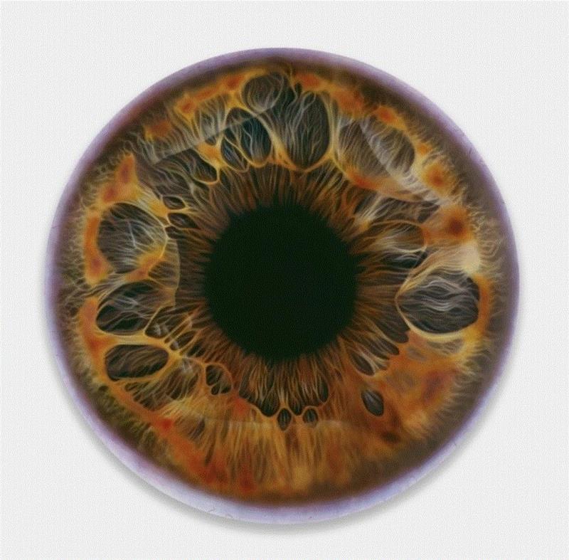 早春三月，共赴一场缤纷美妙的艺术之约 | CAFAM展讯,早春,CAFAM,展讯,中央美术学院美术馆,Museum,官方,寒意,春风,微温,脚步