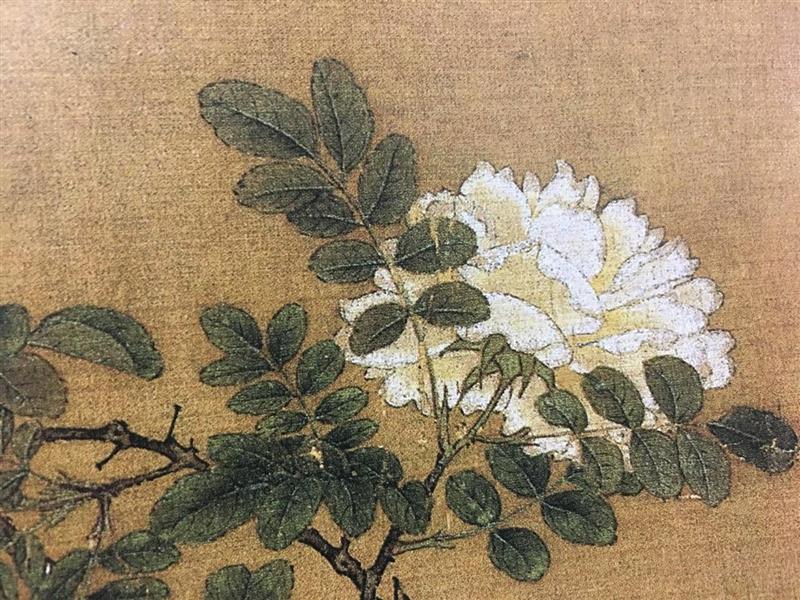 （宋画局部）,美博学艺堂 | 工笔花鸟画的基础学习讲授 最后的席位就等你来！！,工笔,美博学艺堂,花鸟画,席位,工笔画,学员,白描,电话,美博美术馆,课程