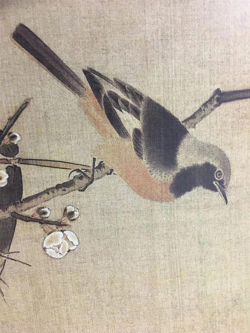 美博学艺堂 | 工笔花鸟画的基础学习讲授 最后的席位就等你来！！,工笔,美博学艺堂,花鸟画,席位,工笔画,学员,白描,电话,美博美术馆,课程