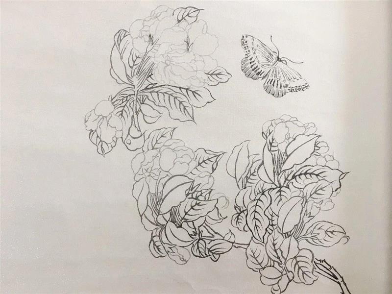 美博学艺堂 | 工笔花鸟画的基础学习讲授 最后的席位就等你来！！,工笔,美博学艺堂,花鸟画,席位,工笔画,学员,白描,电话,美博美术馆,课程