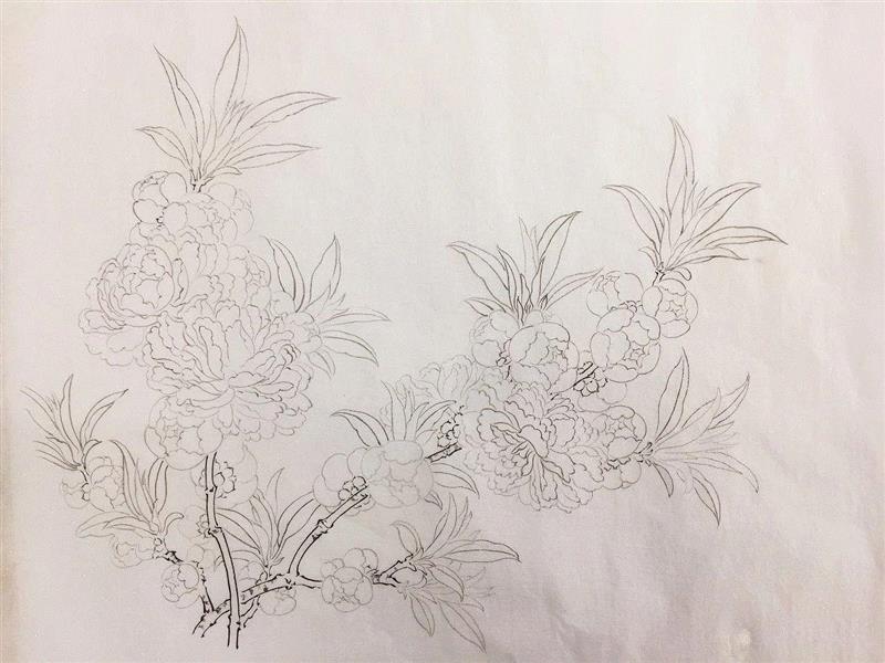 美博学艺堂 | 工笔花鸟画的基础学习讲授 最后的席位就等你来！！,工笔,美博学艺堂,花鸟画,席位,工笔画,学员,白描,电话,美博美术馆,课程