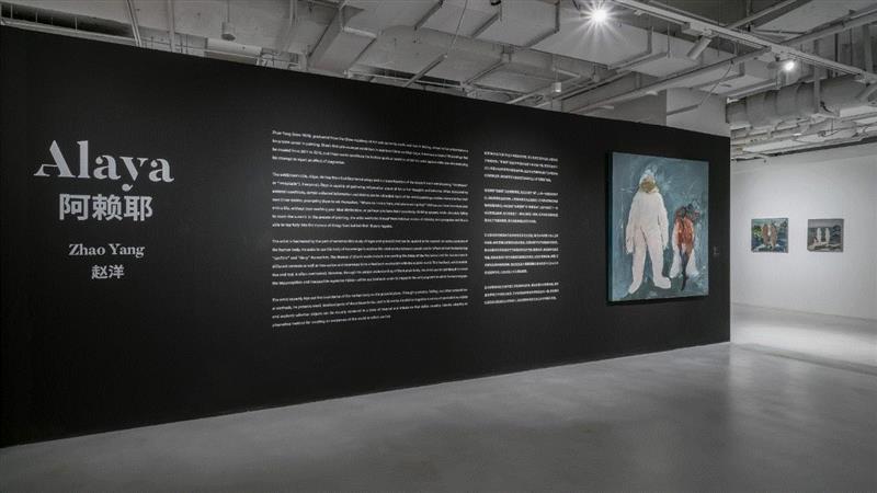艺术家|赵洋和他的“模糊之境” - 个展预告和以往作品回顾,赵洋,以往,Yang,绘画,Canvas,香格纳,罗马,油彩,chi,丙烯