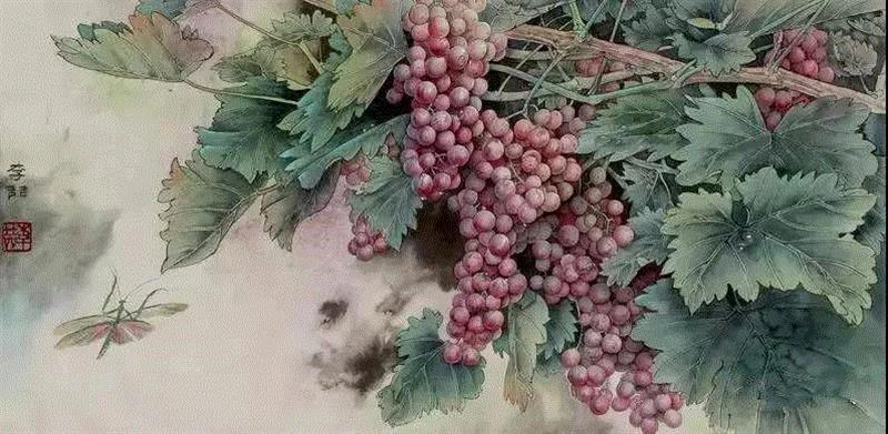 晶莹剔透 ！国画工笔葡萄，看了让人流口水,国画工笔葡萄,上方