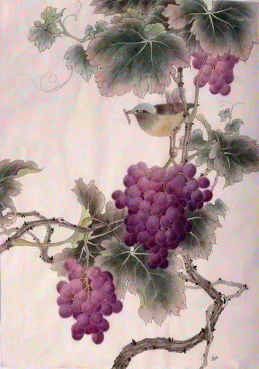 晶莹剔透 ！国画工笔葡萄，看了让人流口水,国画工笔葡萄,上方