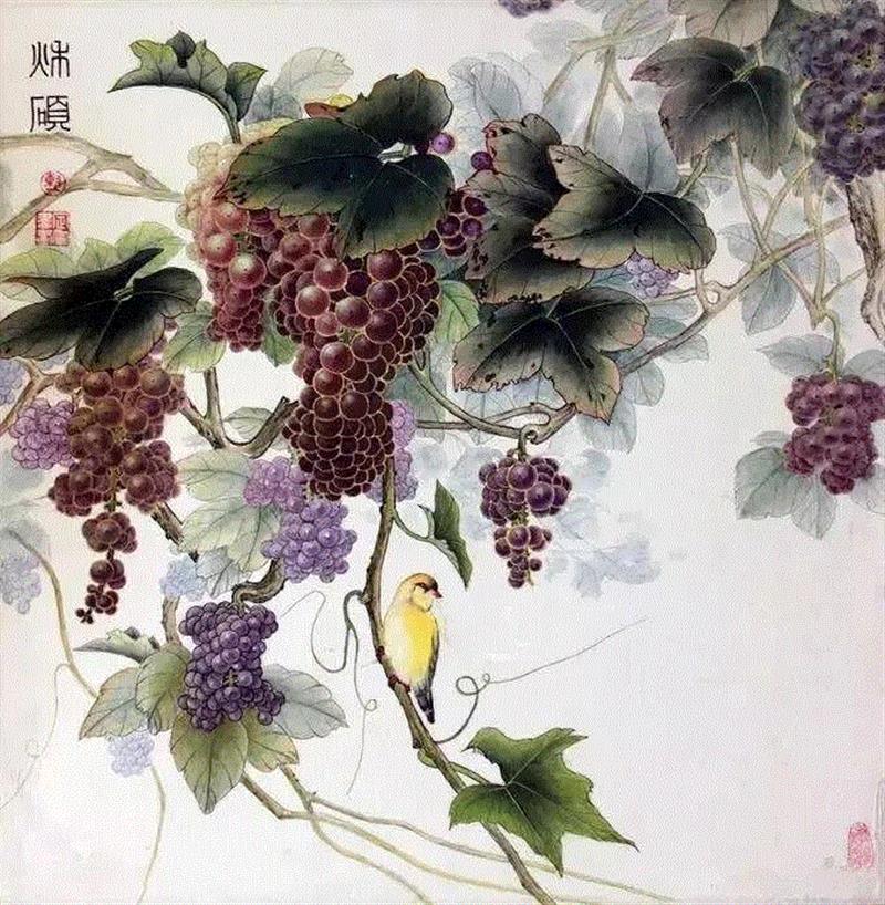 晶莹剔透 ！国画工笔葡萄，看了让人流口水,国画工笔葡萄,上方