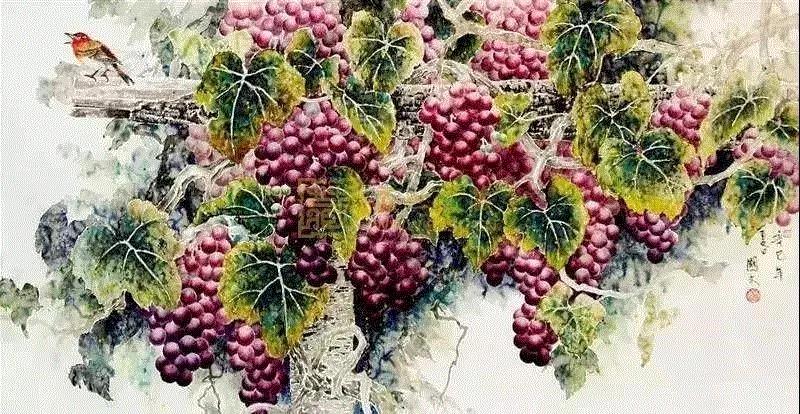 晶莹剔透 ！国画工笔葡萄，看了让人流口水,国画工笔葡萄,上方