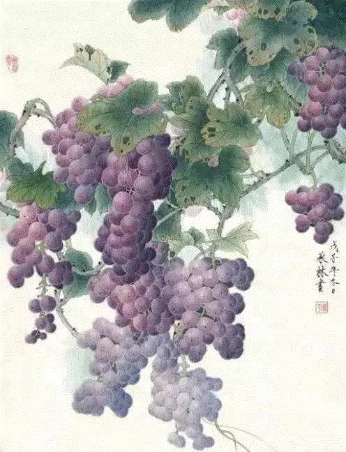 晶莹剔透 ！国画工笔葡萄，看了让人流口水,国画工笔葡萄,上方