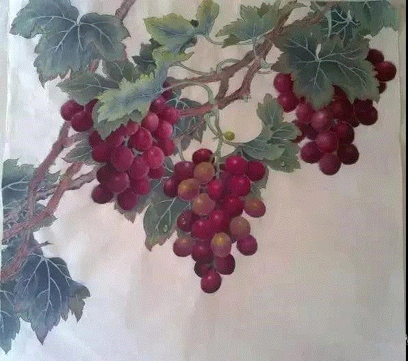 晶莹剔透 ！国画工笔葡萄，看了让人流口水,国画工笔葡萄,上方