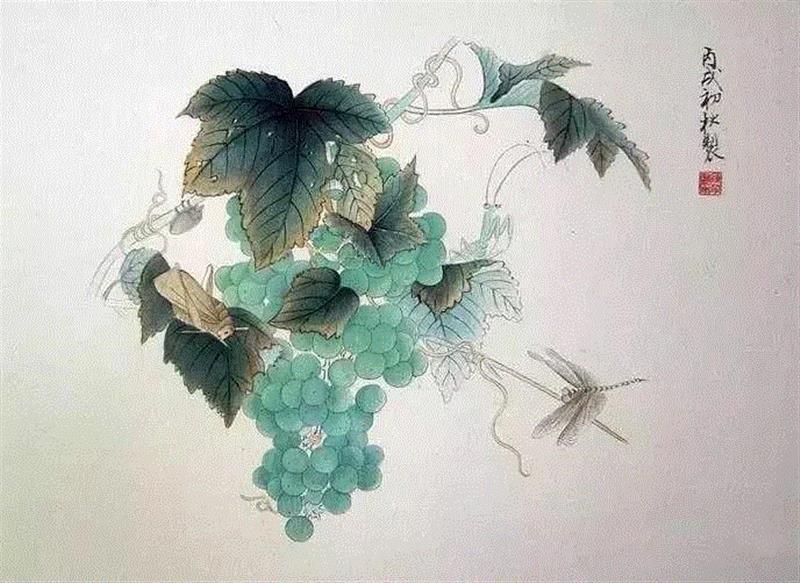 晶莹剔透 ！国画工笔葡萄，看了让人流口水,国画工笔葡萄,上方