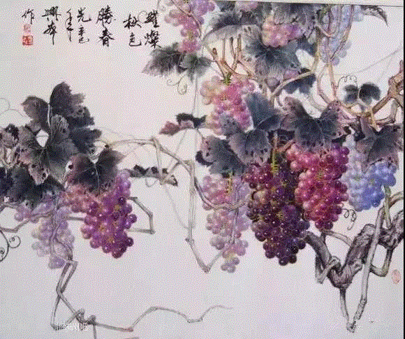 晶莹剔透 ！国画工笔葡萄，看了让人流口水,国画工笔葡萄,上方