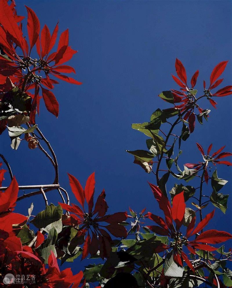 访谈 | 一位害羞的表现者Viviane Sassen的失去与渴望 Ⅱ,女性,模特,时尚,男性,相机,影子,紧张感